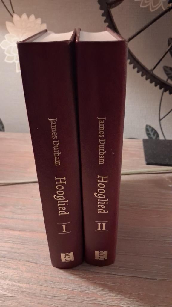 Het Hooglied  door James Durham., Boeken, Ophalen of Verzenden