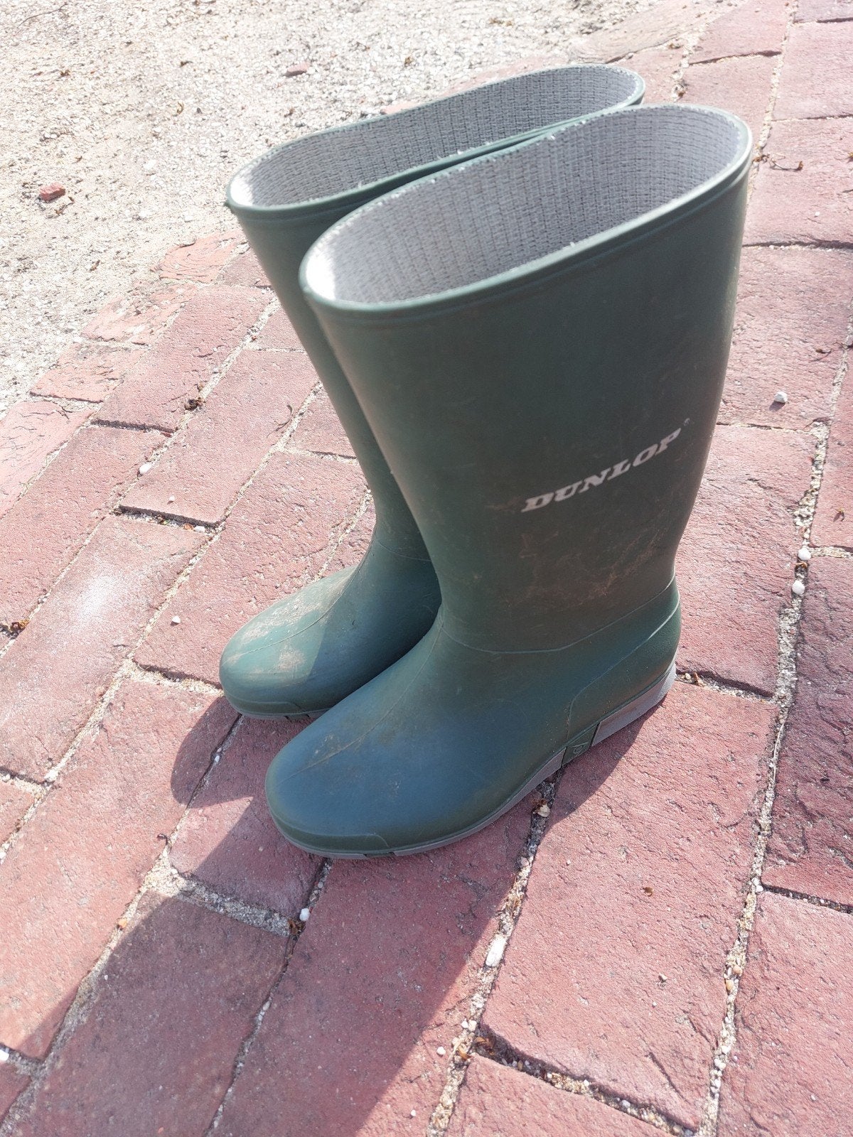 Dunlop regenlaarzen maat 36, Kleding | Dames, Schoenen, Ophalen of Verzenden, Regenlaarzen, Dunlop, Gedragen