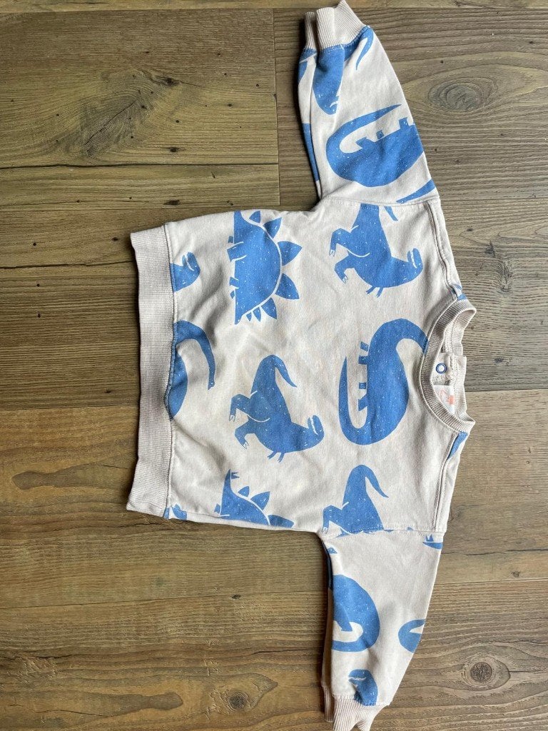 Trui maat 74 Hema, Kinderen en Baby's, Babykleding | Maat 74, Gebruikt, Truitje of Vestje, Ophalen of Verzenden, Hema