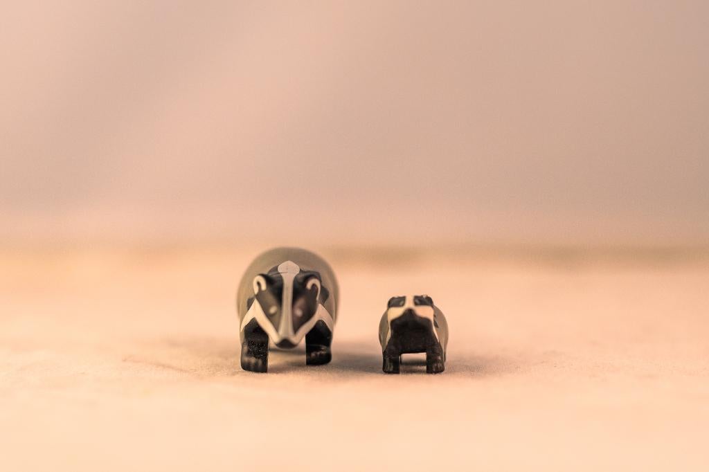 Playmobil dassen, Ophalen of Verzenden, Gebruikt, Los playmobil