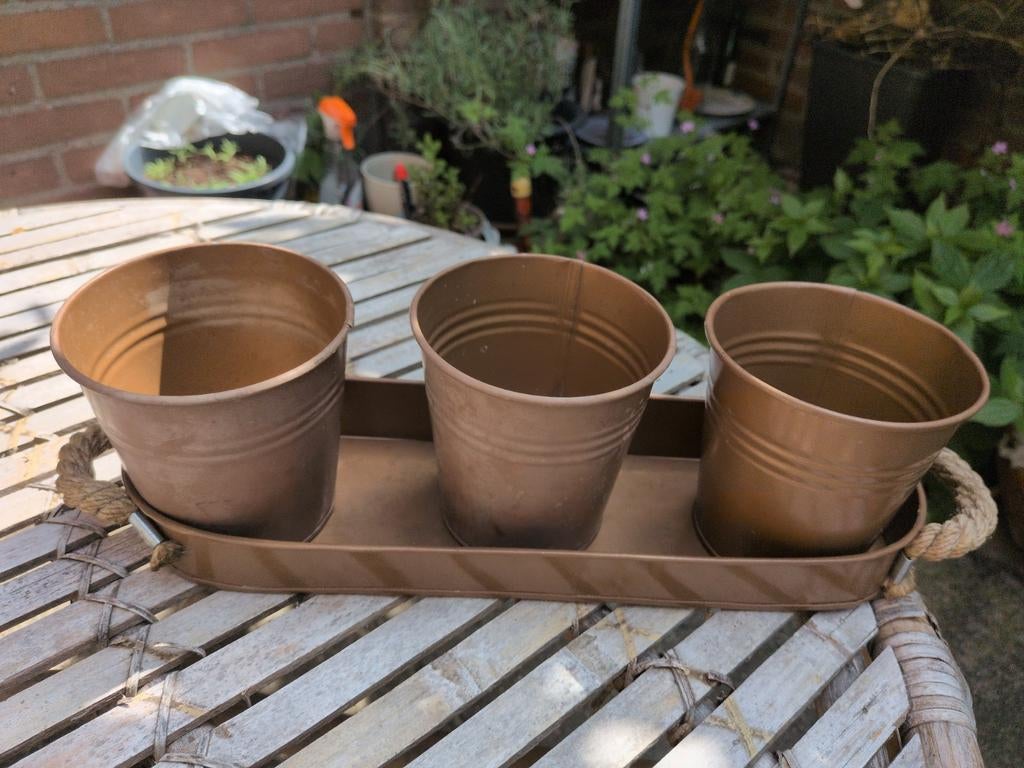 Metalen bloembak met 3 potten - Intratuin, Ophalen, Gebruikt, Minder dan 30 cm, Minder dan 60 cm