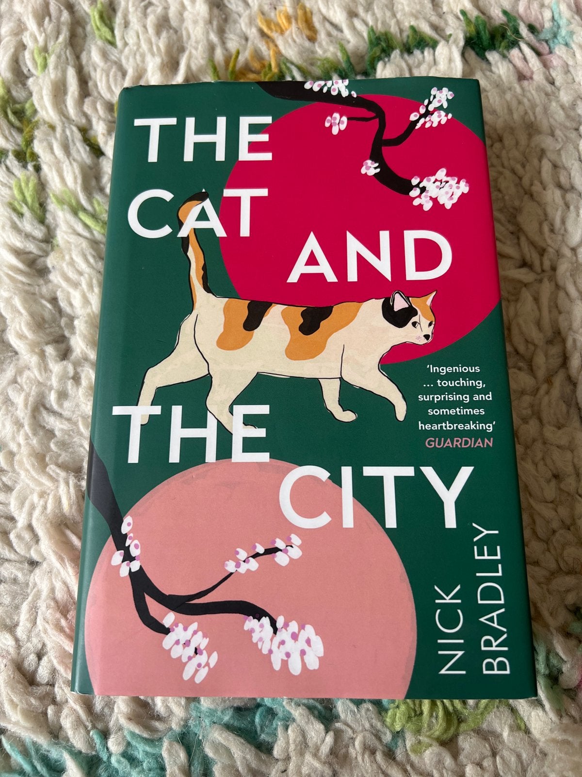 The Cat and The City - Nick Bradley (Engelstalig), Ophalen of Verzenden, Zo goed als nieuw, Wereld overig