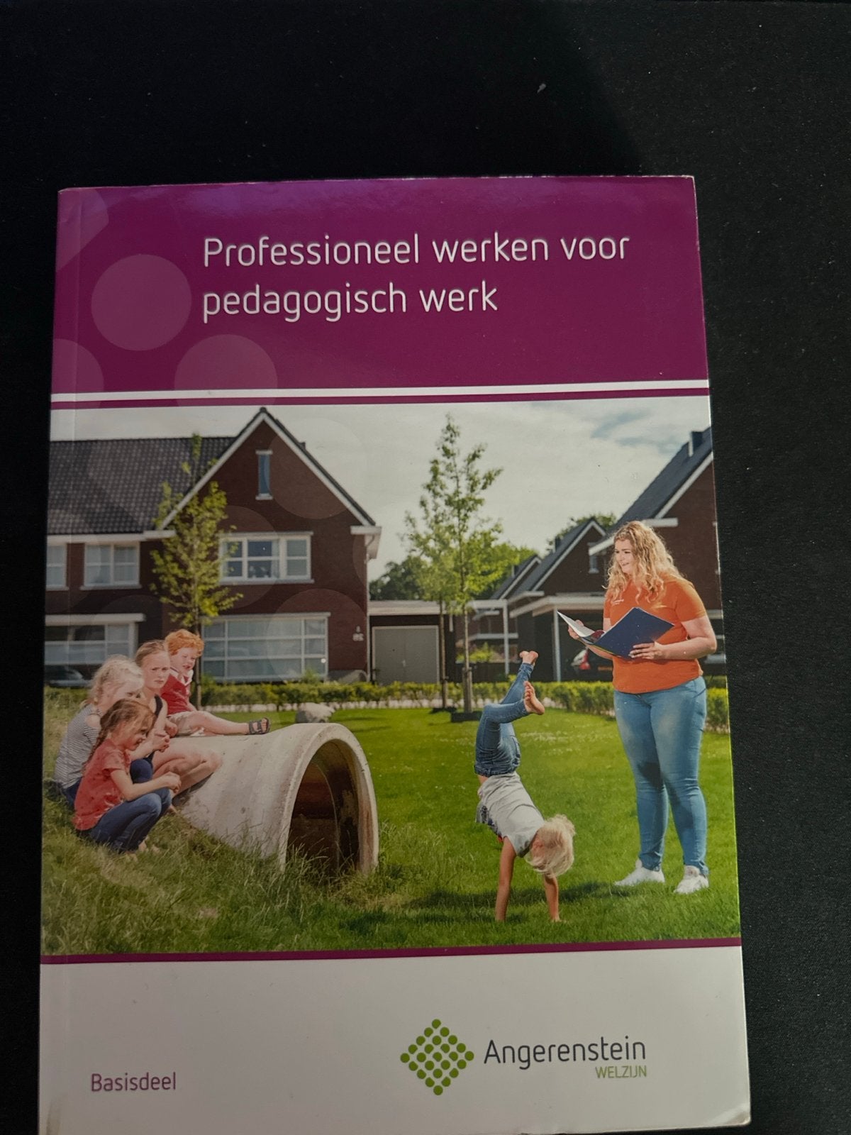 Professioneel werken voor pedagogisch werk - Basisdeel, Ophalen of Verzenden, Gamma, Zo goed als nieuw, MBO
