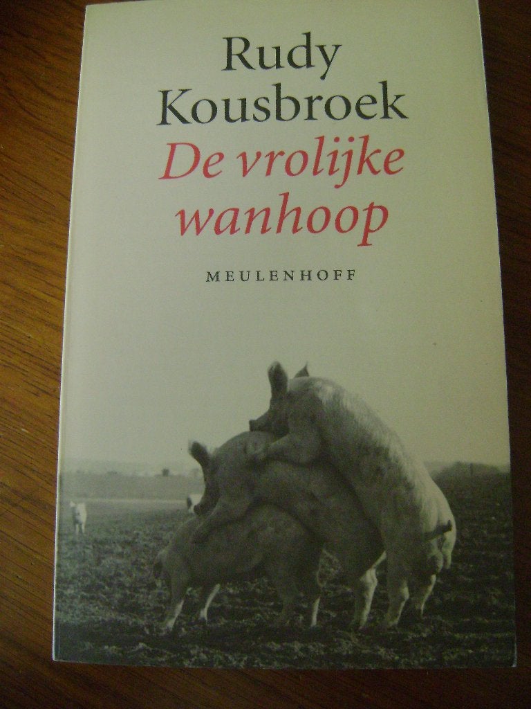 RUDY KOUSBROEK De vrolijke wanhoop, Ophalen of Verzenden, Gelezen