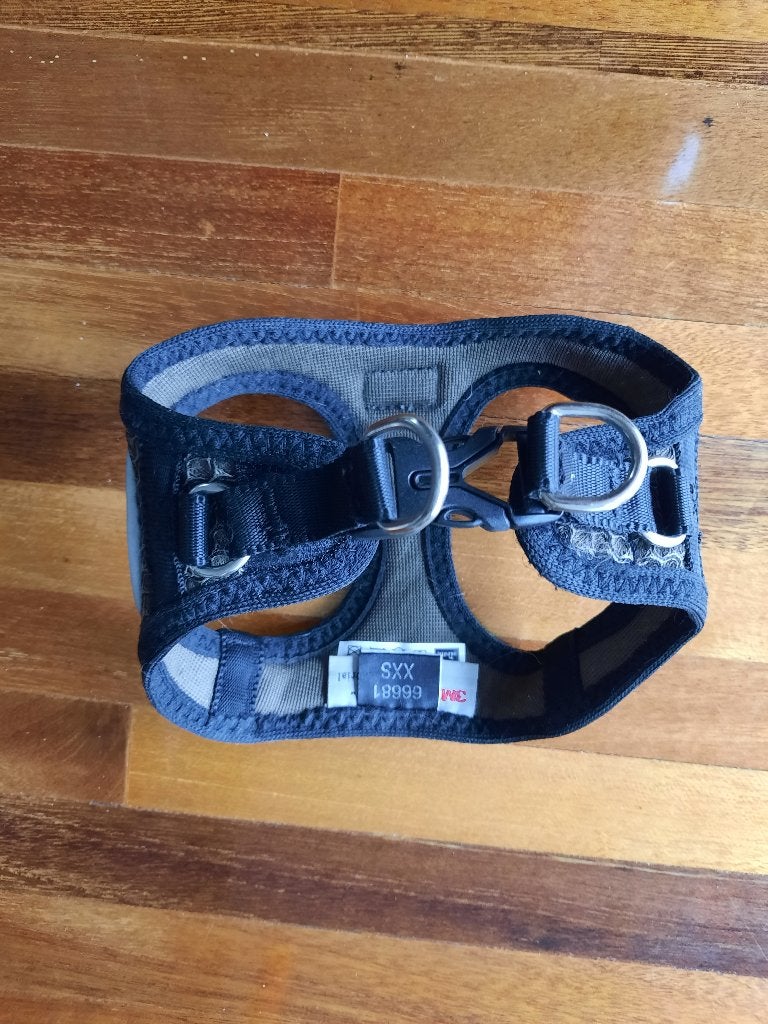 halsband, Ophalen of Verzenden, Nieuw