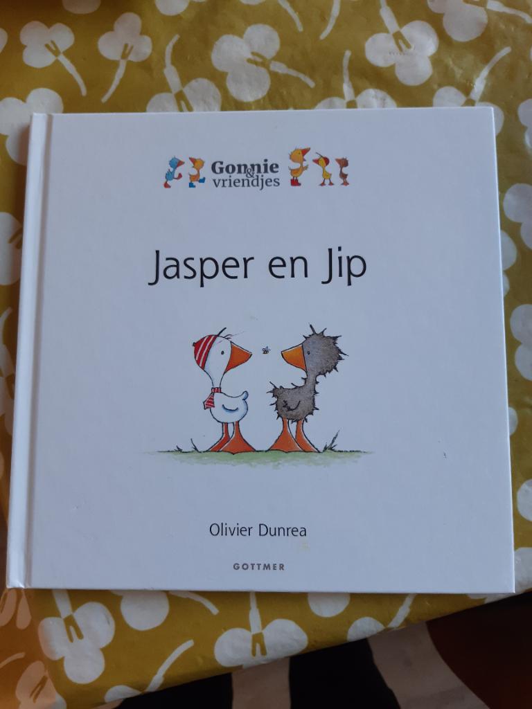 Jasper en Jip, Ophalen of Verzenden, Zo goed als nieuw, 2 tot 3 jaar