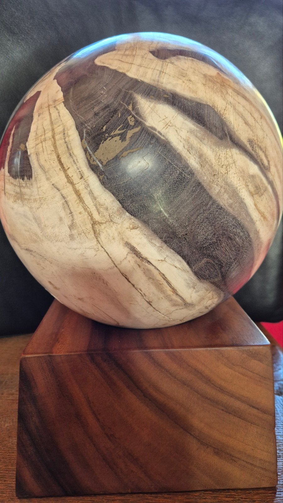 Versteend Hout Bol - 25 Miljoen Jaar Oud - Indonesië, Vintage, Gebruikt, Meerkleurig, Ophalen of Verzenden