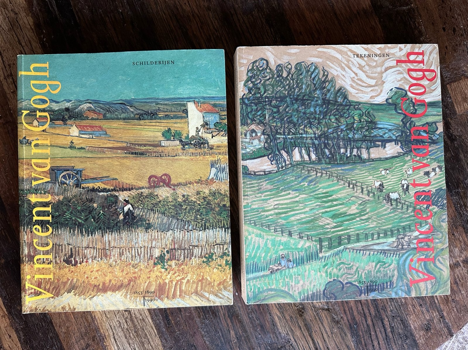 Vincent van Gogh: Schilderijen en Tekeningen (2 boeken), Boeken, Verzenden, Zo goed als nieuw, Schilder- en Tekenkunst