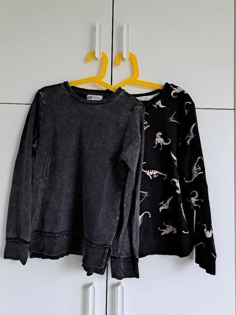 2x trui dino's en grijs/zwart H&M - maat 134 140, Gebruikt, Trui of Vest, H&M, Ophalen of Verzenden