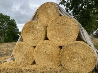 stro en kuilvoer, Ophalen