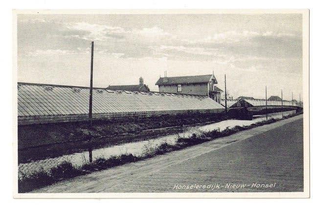Honselersdijk - Nieuw-Honsel - tuinbouw - kassen (1934), Verzenden, 1920 tot 1940, Ongelopen, Zuid-Holland
