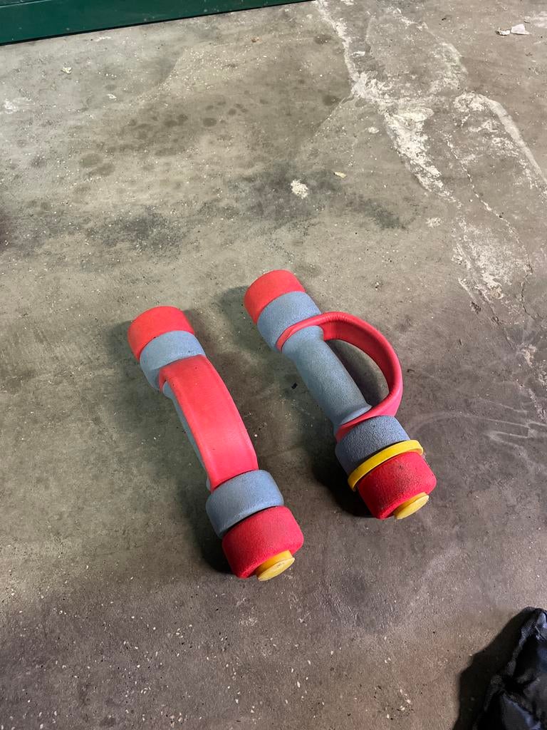 Fysio dumbbells - Ideaal voor revalidatie en lichte training, Ophalen, Gebruikt, Armen, Dumbbell