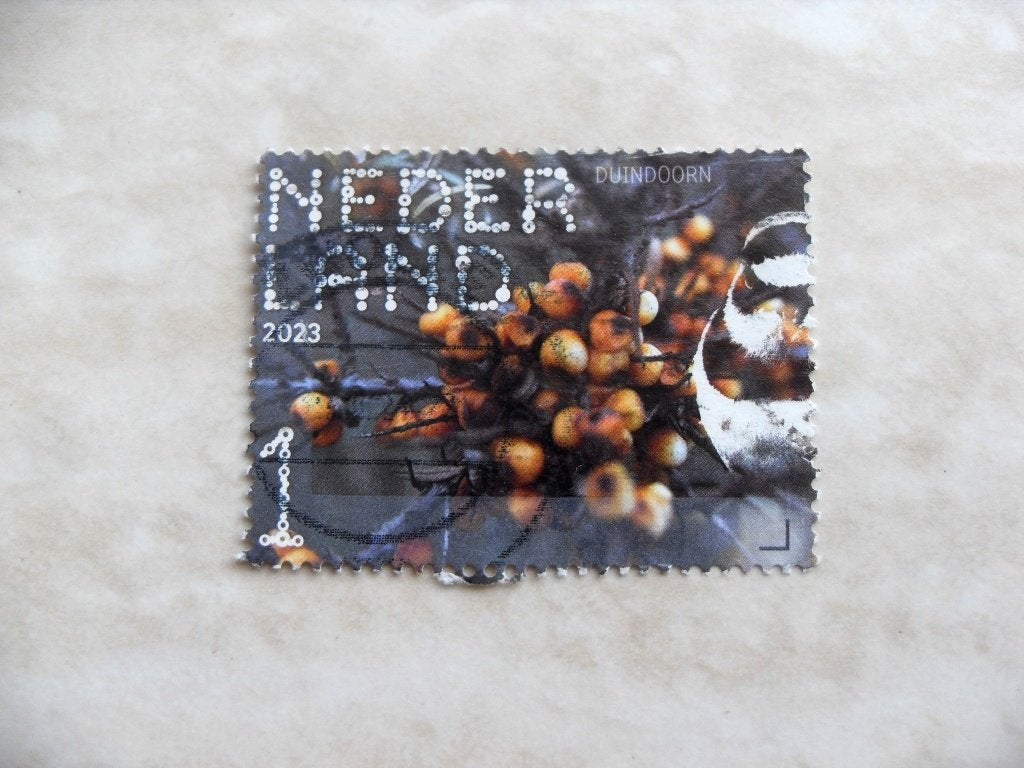 Nederland 2023., Verzenden, Gestempeld