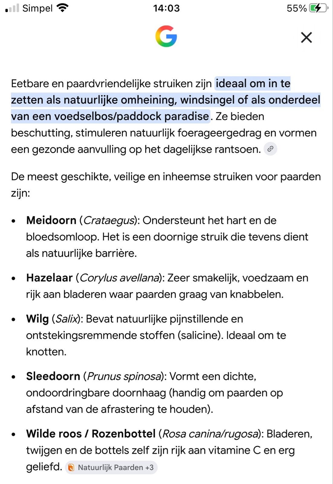 Struiken/snoeiafval gezocht voor paarden (Nunspeet/Hierden), Ophalen of Verzenden, Overige soorten, Struik, 250 cm of meer