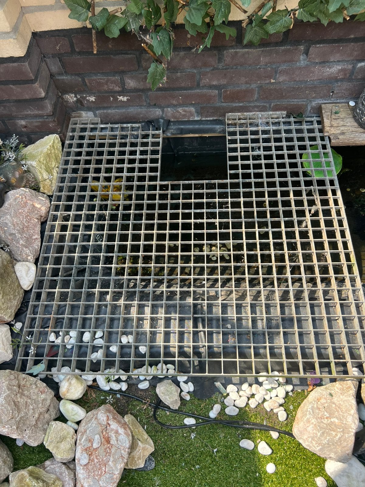 Rooster voor vijver, Ophalen of Verzenden, Zo goed als nieuw
