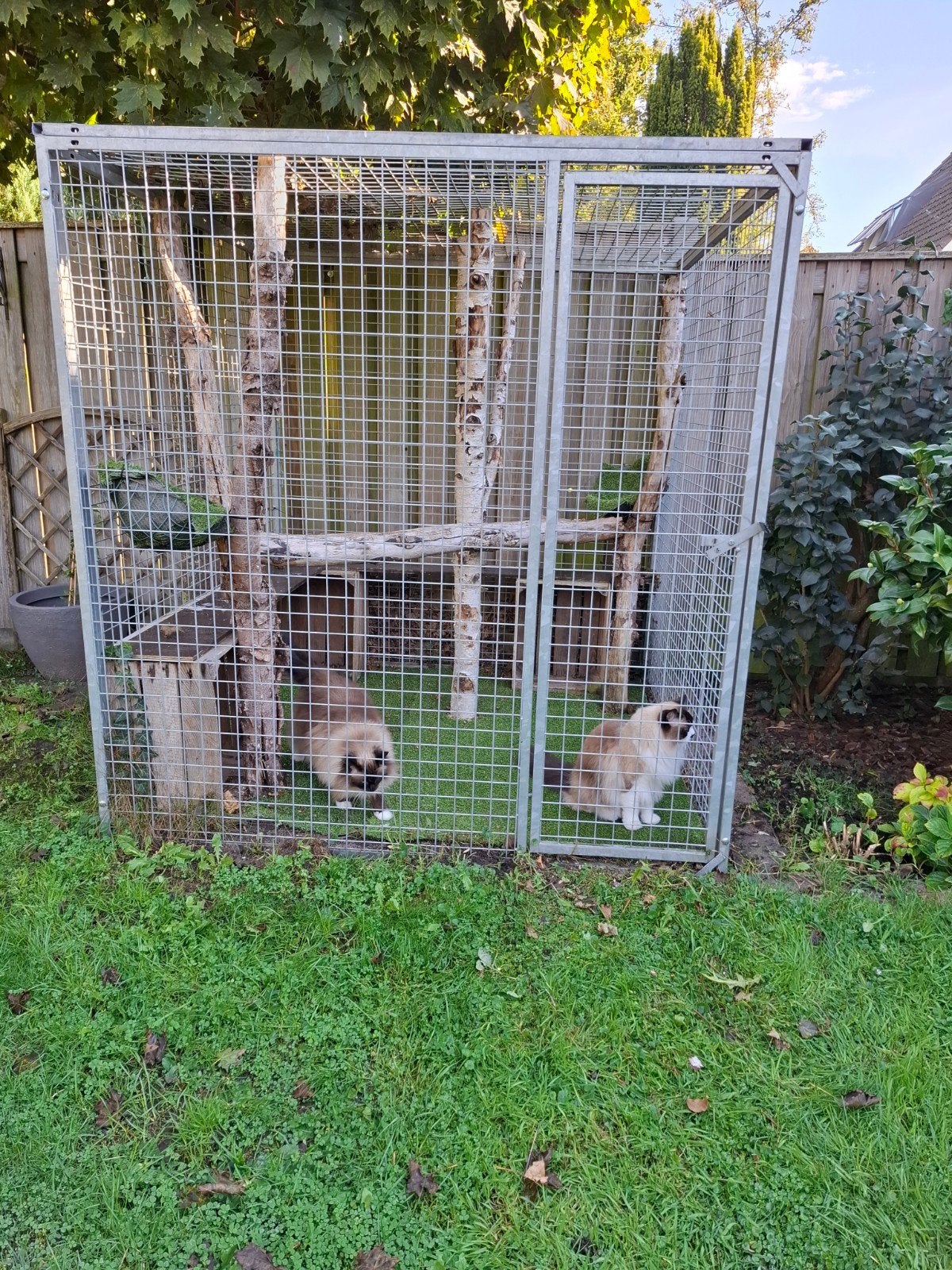 stevige gegalvaniseerdekattenren / papegaaienkooi, Ophalen, Zo goed als nieuw