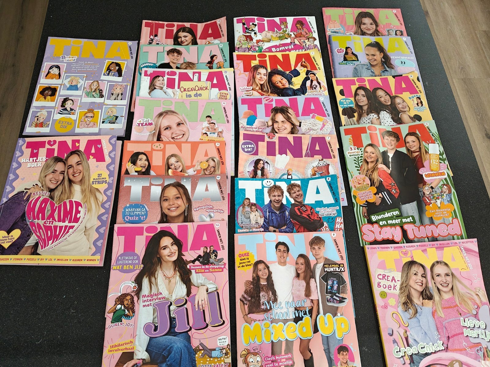 Grote Tina collectie: 17 standaard, 1 dikke, 2 boekjes, Ophalen, Gelezen, Damesbladen