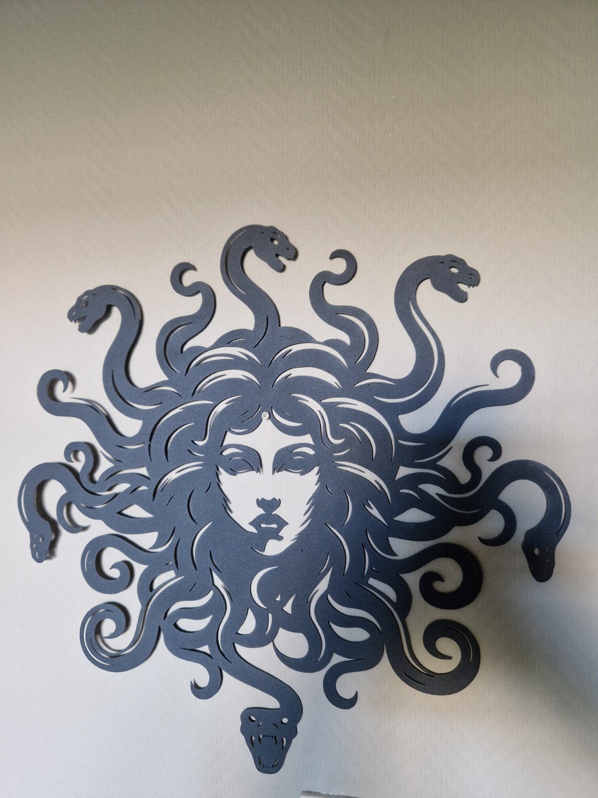 Muurdecoratie slangenhoofd, Ophalen