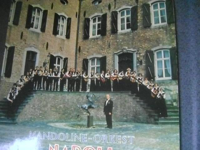 mandoline orkest napoli, Ophalen of Verzenden, Zo goed als nieuw, 12 inch
