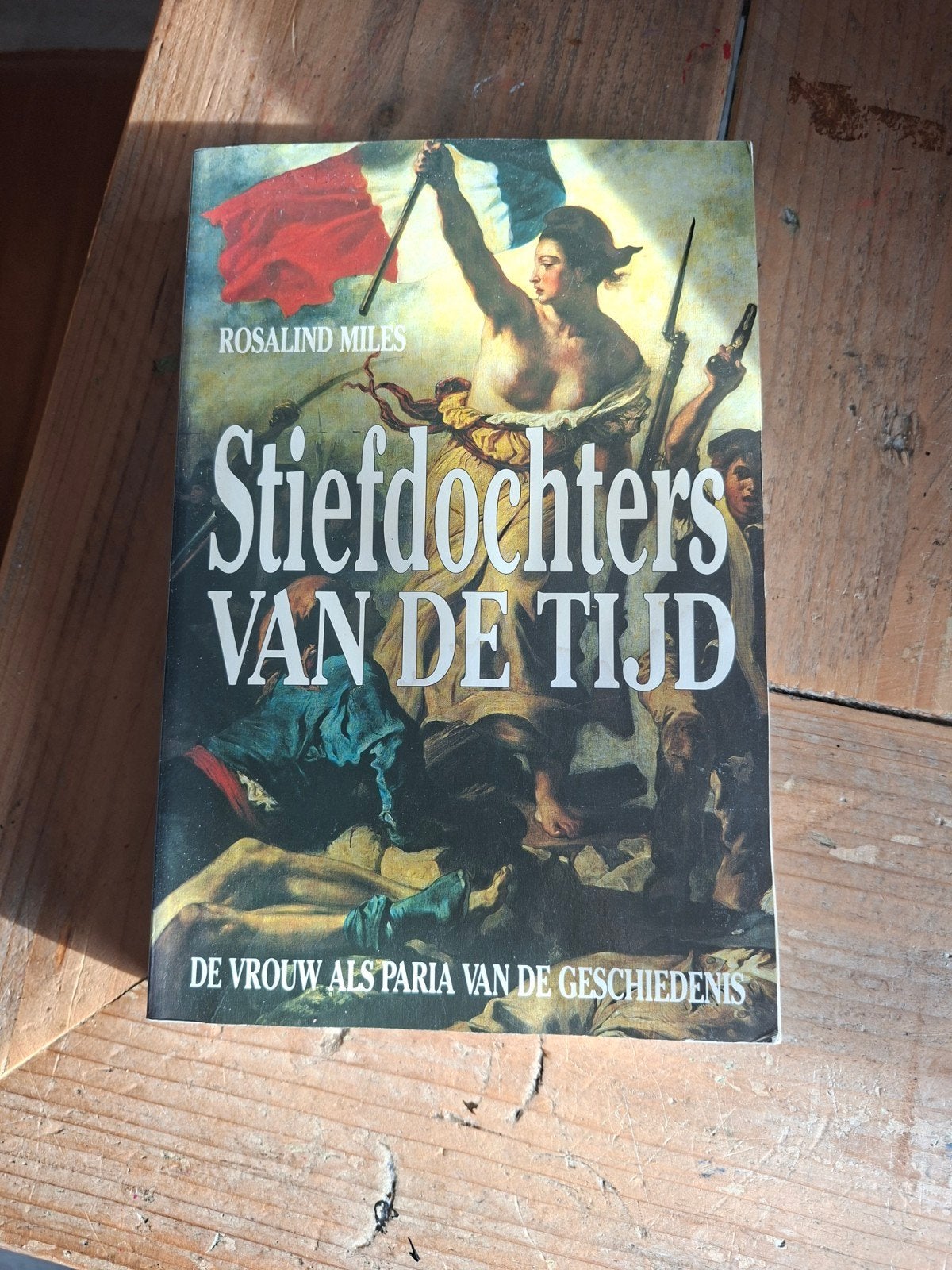 Stiefdochters van de Tijd - Rosalind Miles, Boeken, Ophalen of Verzenden, Gelezen, Rosalind Miles