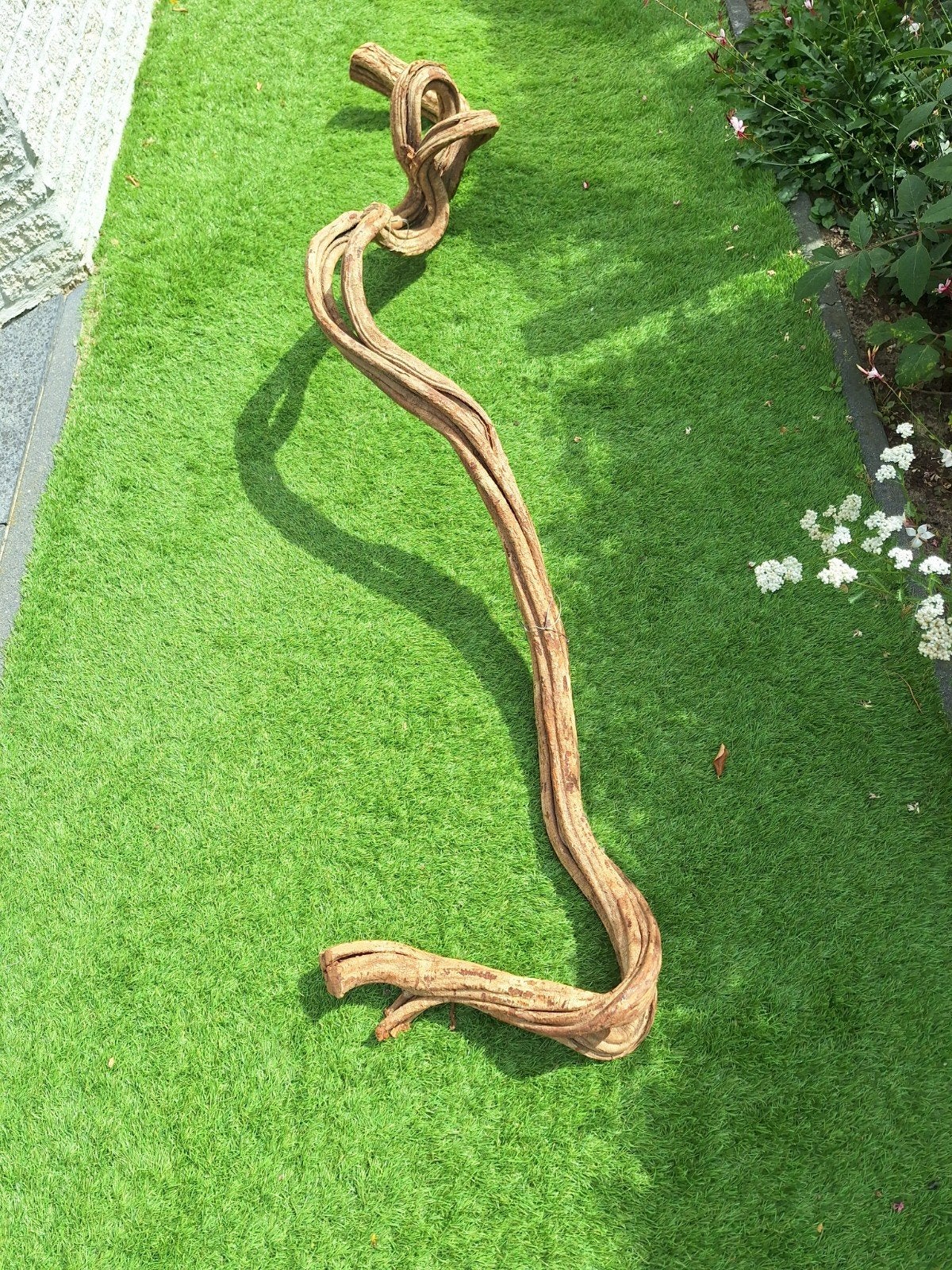 Decoratieve Druiventak  190cm, Ophalen