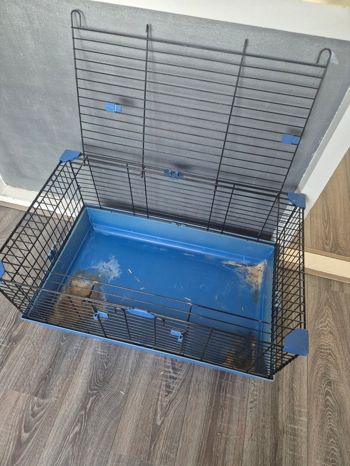 cavia kooi 80cm breed, Kooi, 75 tot 110 cm, Cavia, Ophalen