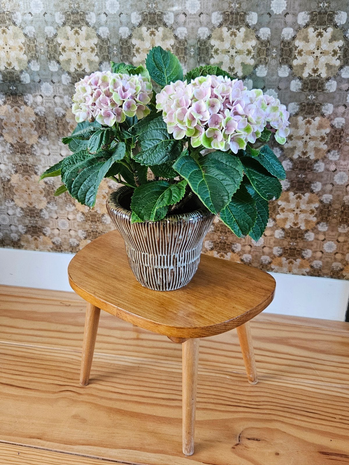 Plantentafel VINTAGE, Ophalen, Gebruikt