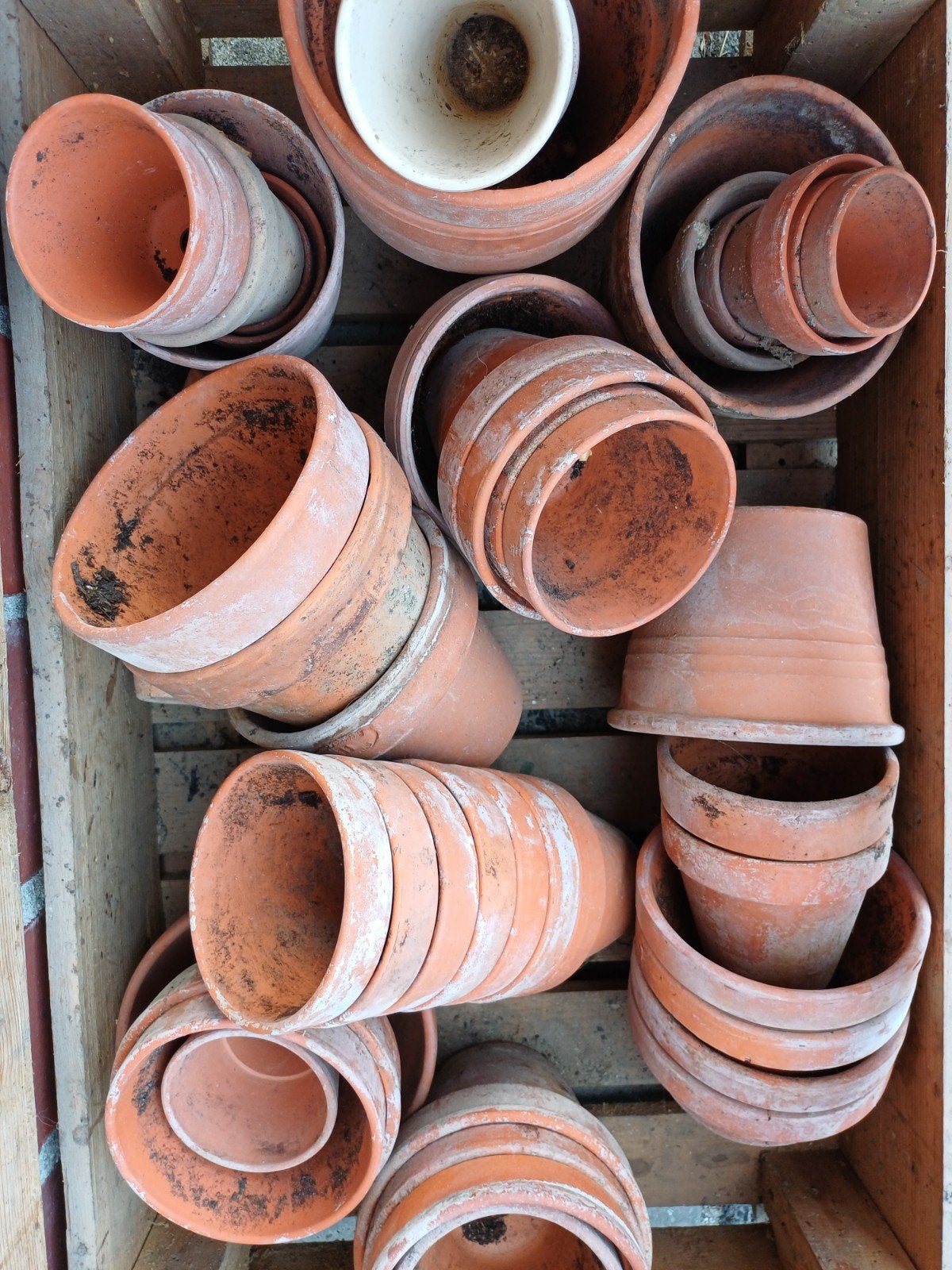terracotta bloempotten., Ophalen, Kweeklamp