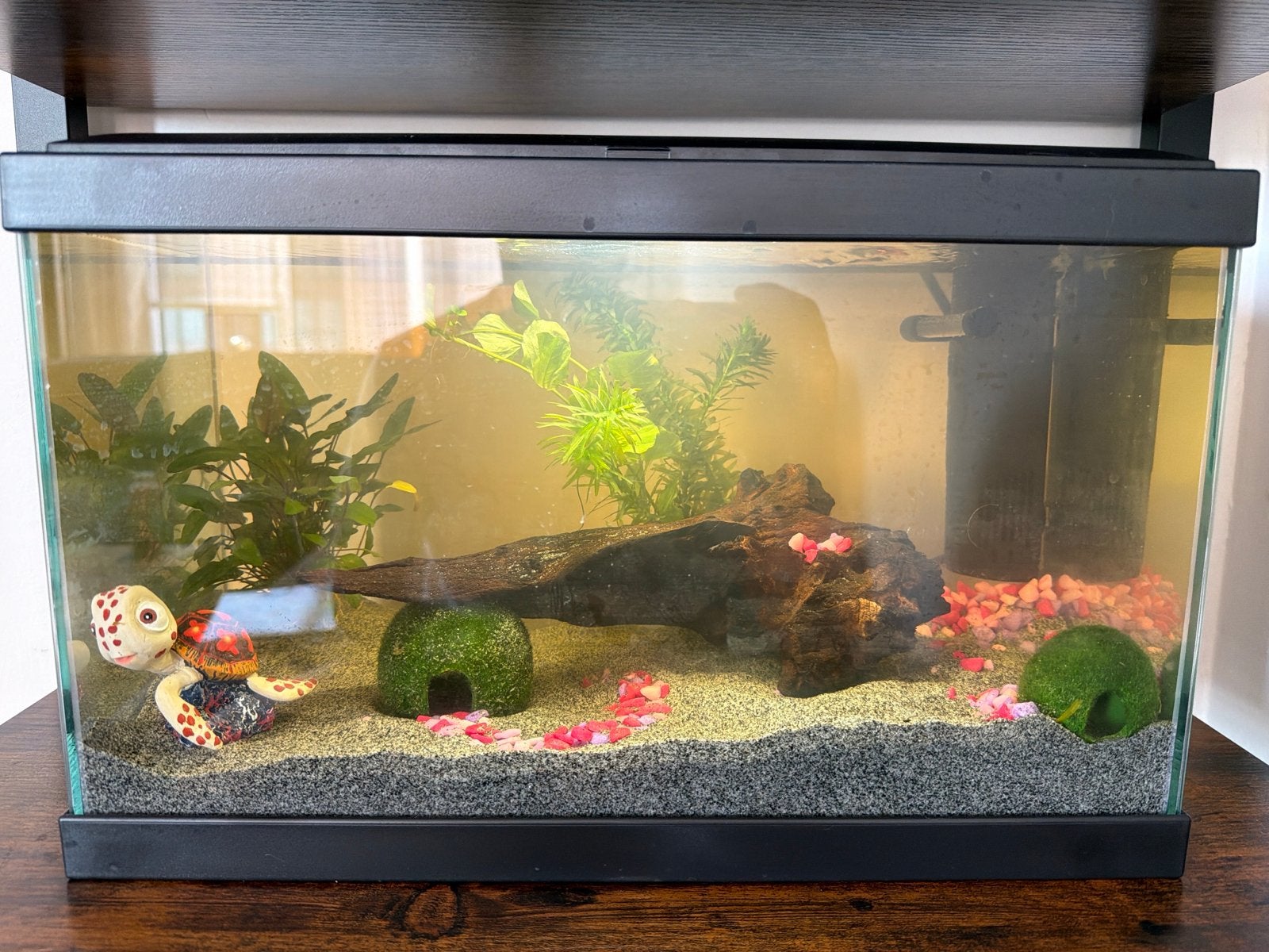 Aquarium + Led & Filter, Ophalen of Verzenden, Inclusief toebehoren, Zo goed als nieuw, Leeg aquarium