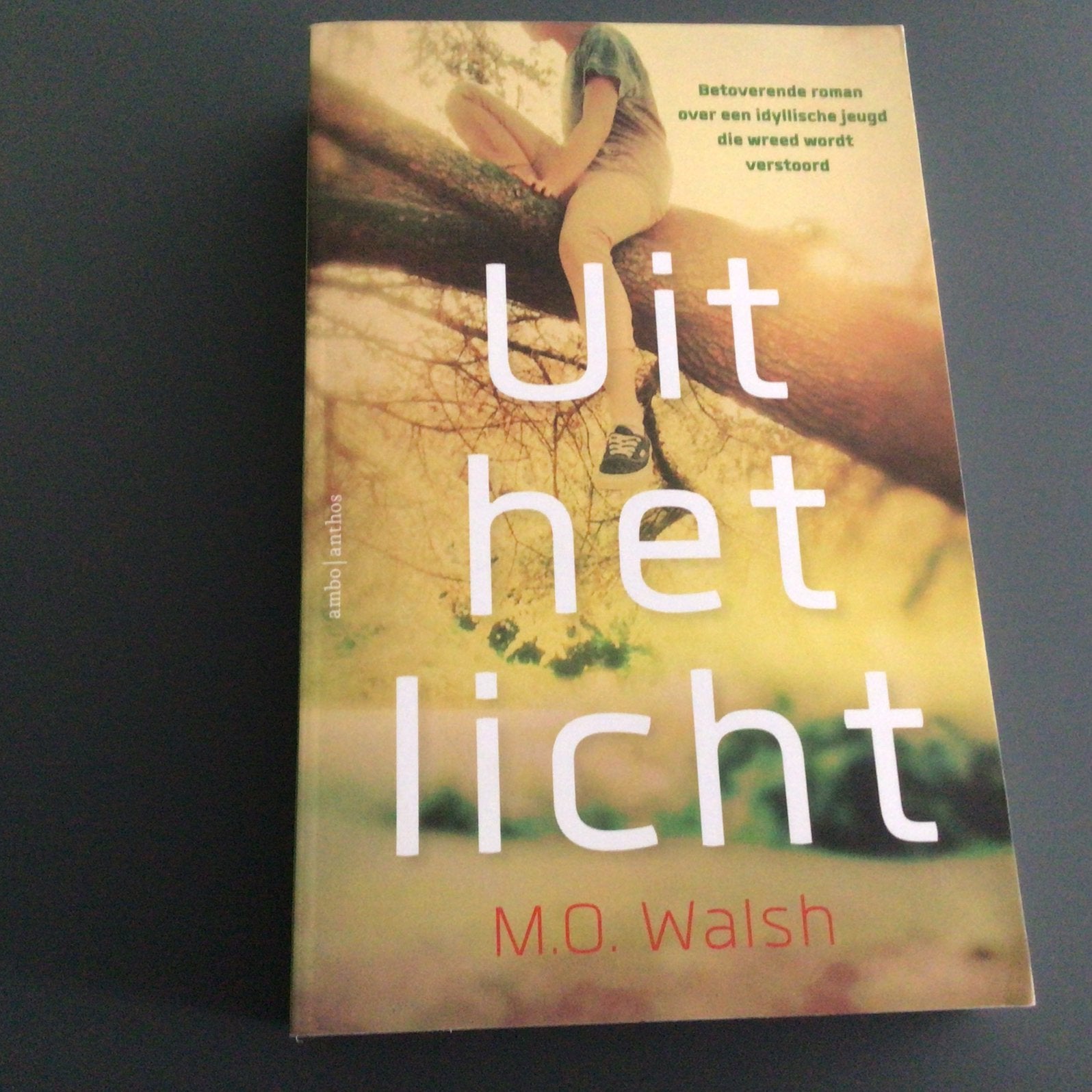 M.O. Walsh - Uit het licht, Boeken, Ophalen of Verzenden, Zo goed als nieuw, M.O. Walsh, Amerika