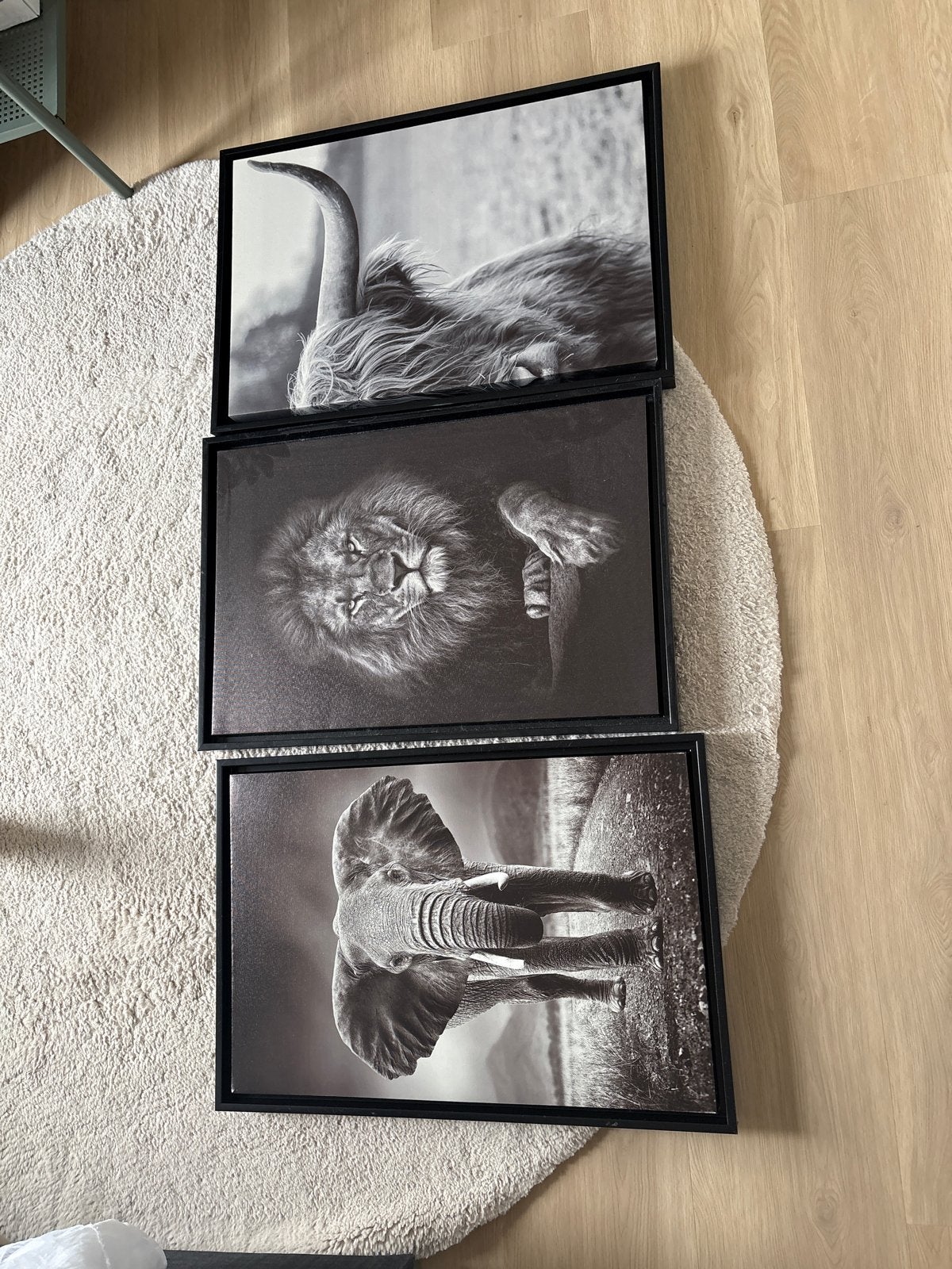 Set van 3 ingelijste zwart-wit dierenprints, Ophalen, Hout, Print, Dieren