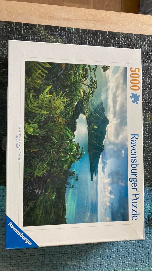 Legpuzzel 5000 stukjes Ravensberger, Ophalen of Verzenden, Meer dan 1500 stukjes, Zo goed als nieuw