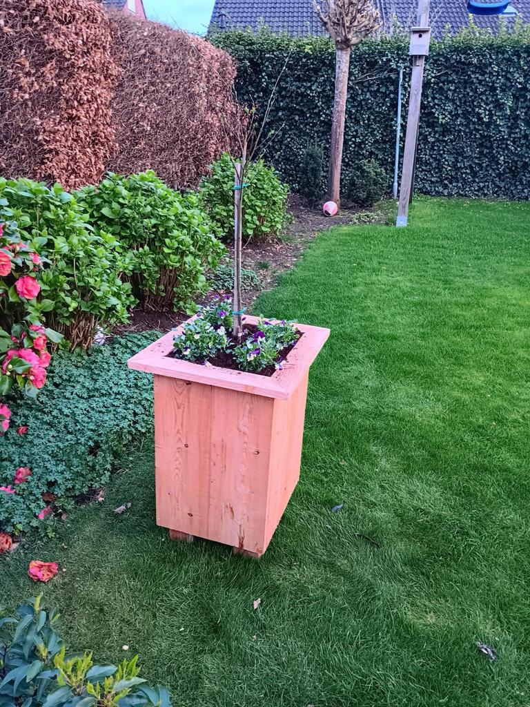 Bloembakken van Douglas hout, Tuin en Terras, Bloembakken en Plantenbakken, Ophalen, Gebruikt, 100 cm of meer, 60 cm of meer