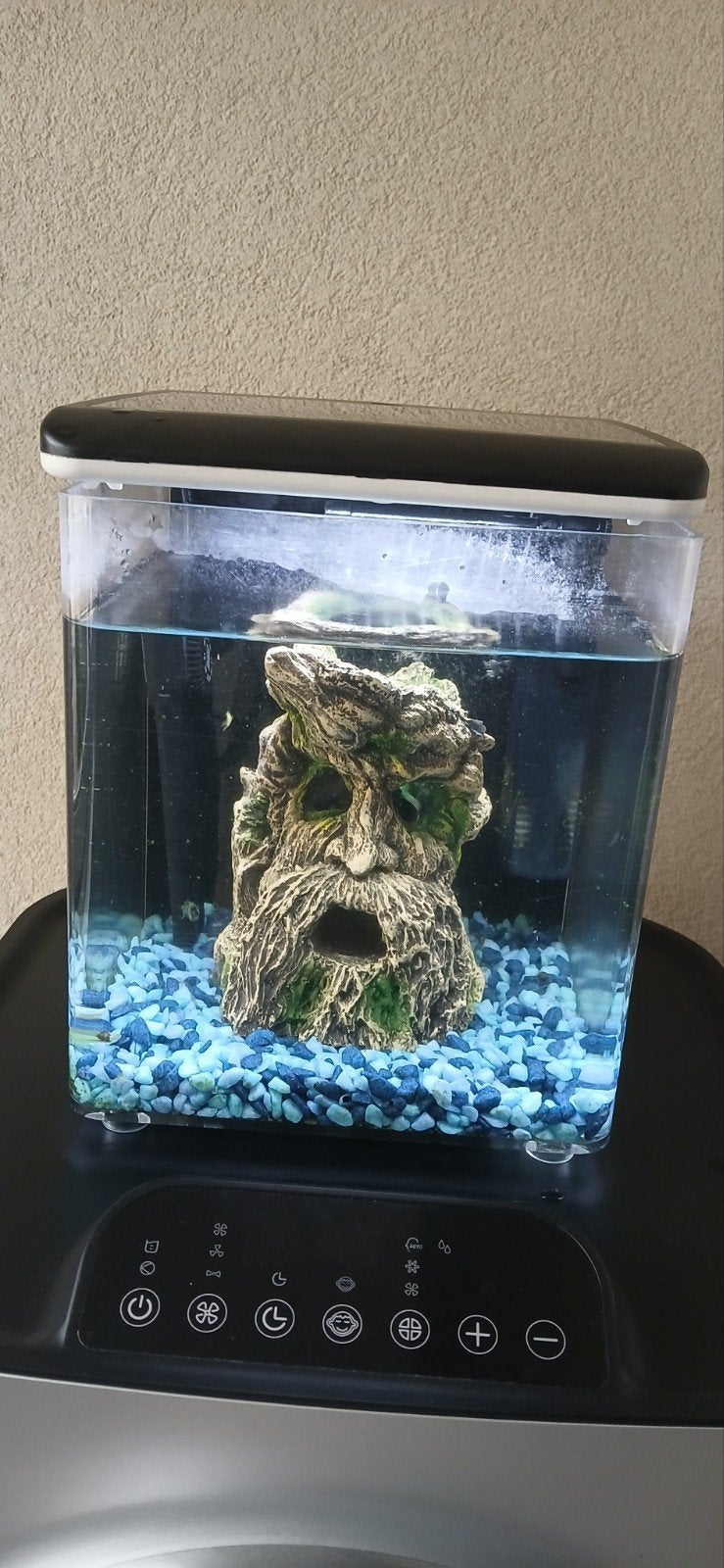 Kleine aquarium, Ophalen, Leeg aquarium