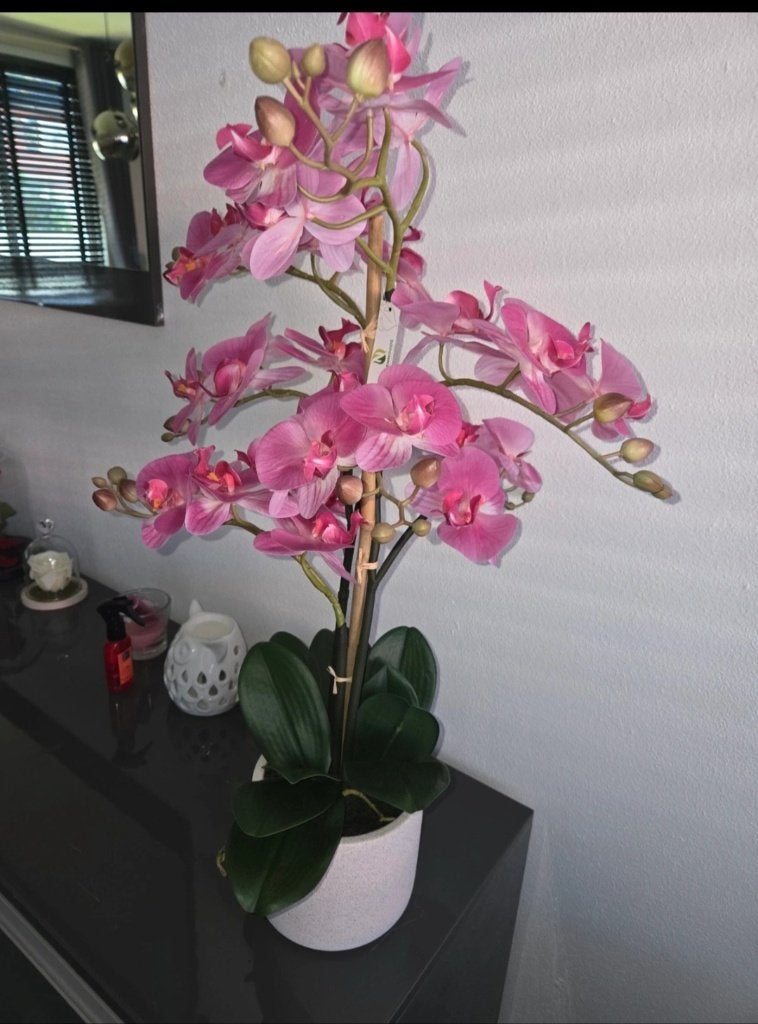 Nep orchideee, Ophalen, Zo goed als nieuw