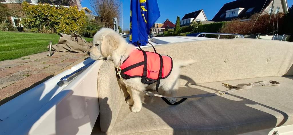 Baltic honden reddingsvest maat 2 M 8-15 kg, Dieren en Toebehoren, Honden-accessoires, Ophalen, Zo goed als nieuw