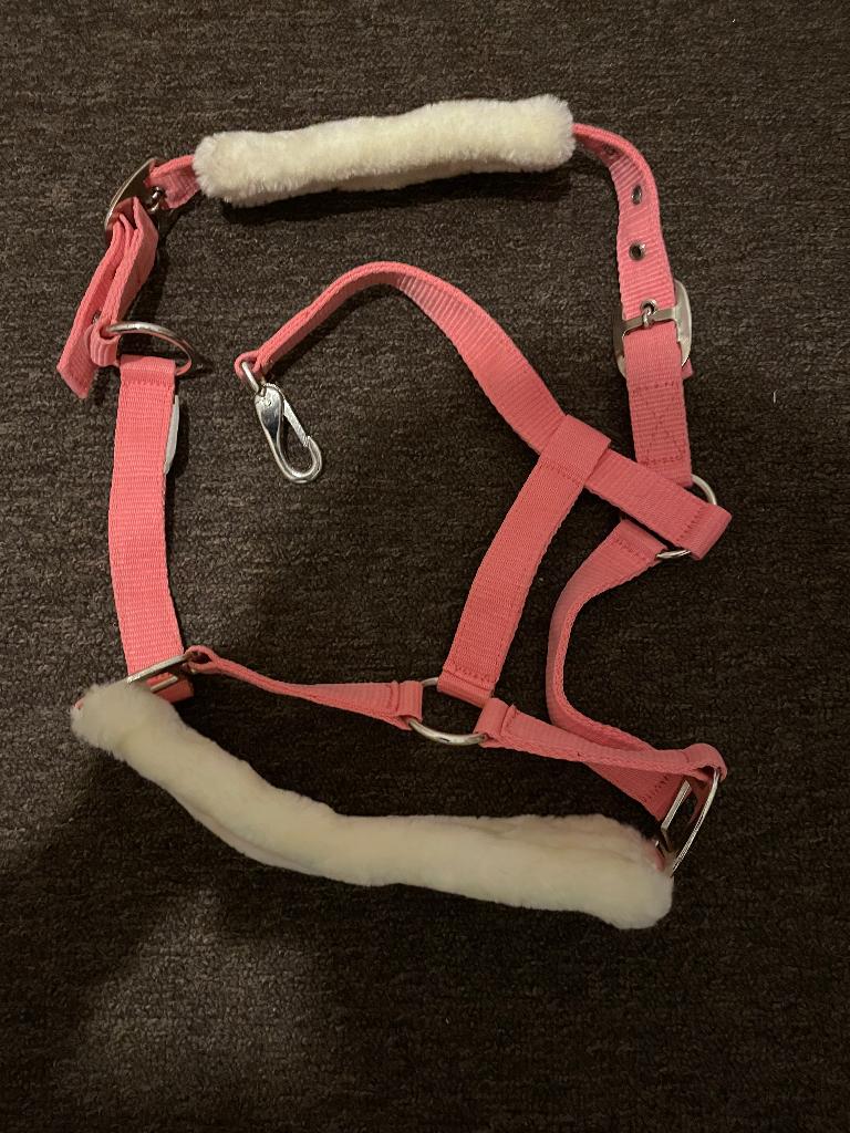 Halster maat pony, Dieren en Toebehoren, Paarden en Pony's | Hoofdstellen en Tuigage, Ophalen of Verzenden, Zo goed als nieuw