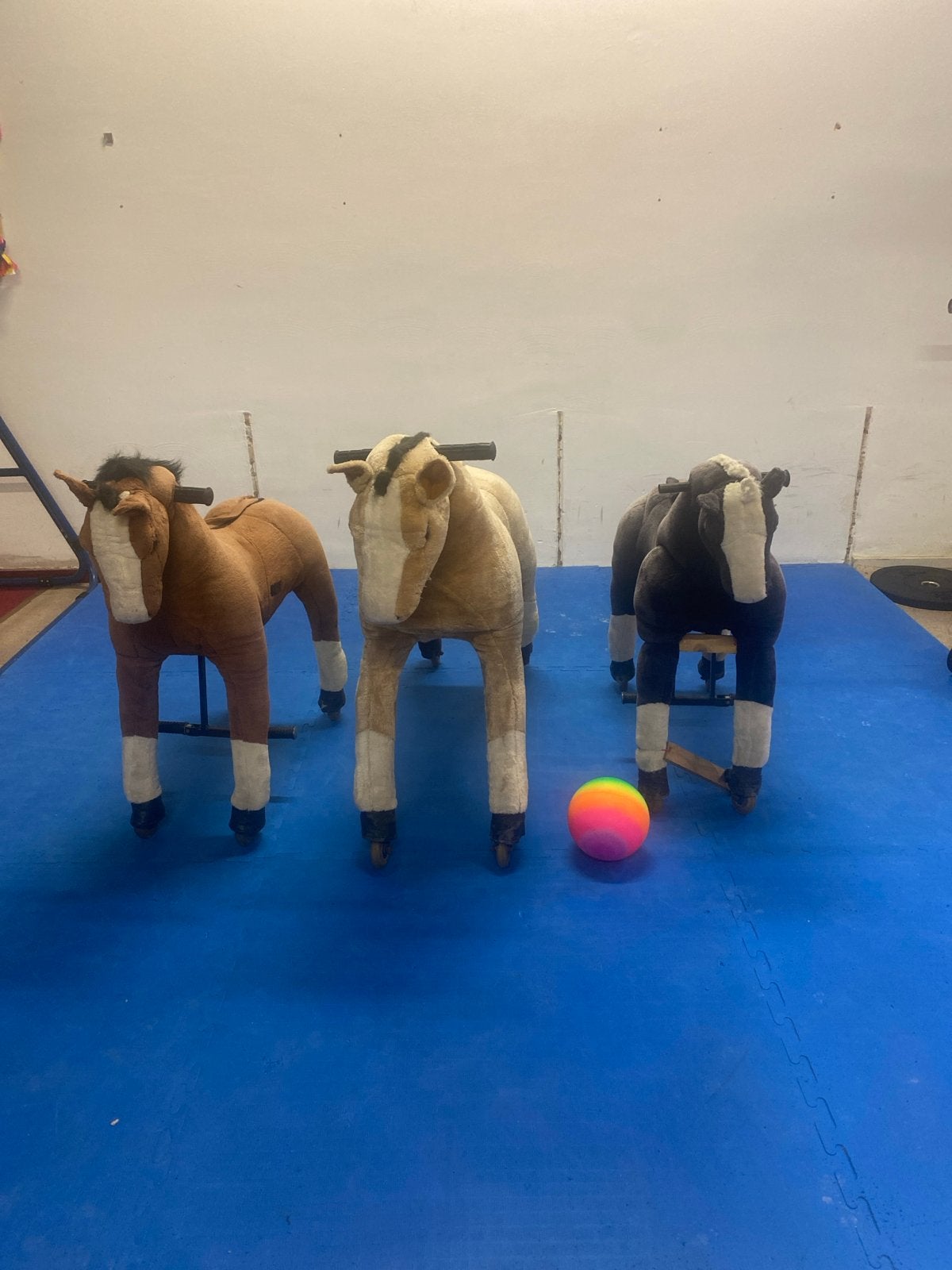 Drie super grote paarden om op te rijden, Ophalen of Verzenden, Gebruikt, Jongen of Meisje
