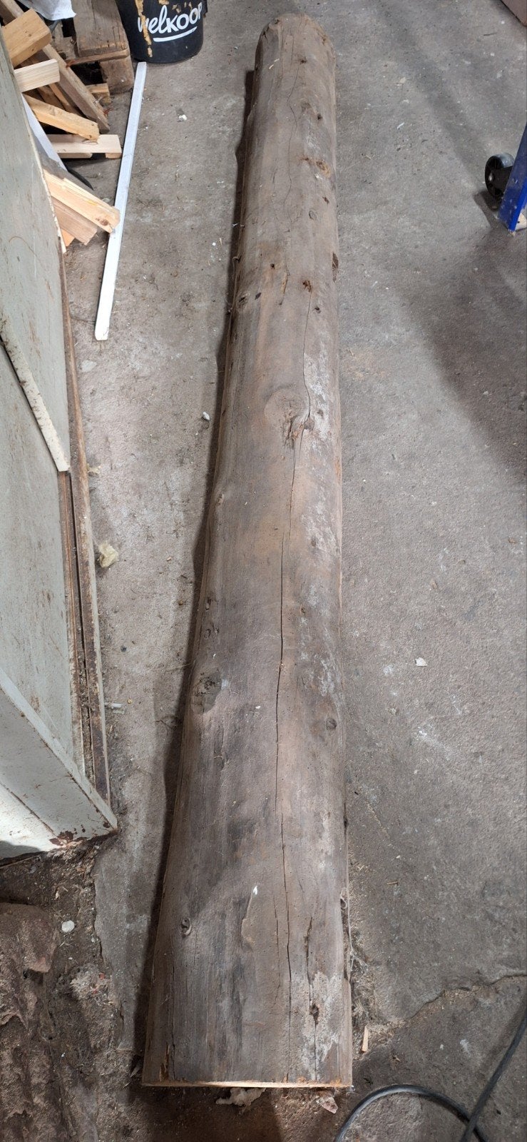 Decoratieve halve boomstam - uniek stuk voor huis/tuin, Doe-het-zelf en Verbouw, Hout en Planken, Ophalen, Minder dan 25 mm, Plank