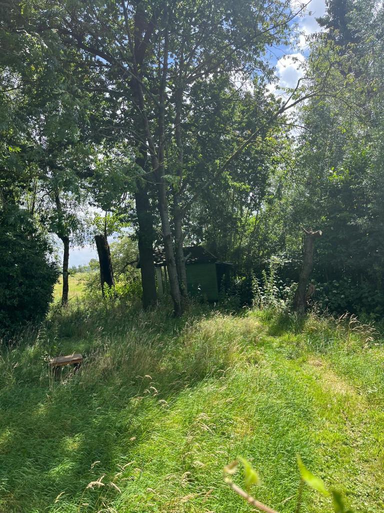 Volkstuin, Minder dan 250 cm, Overige materialen, Gebruikt, Tuinhuis