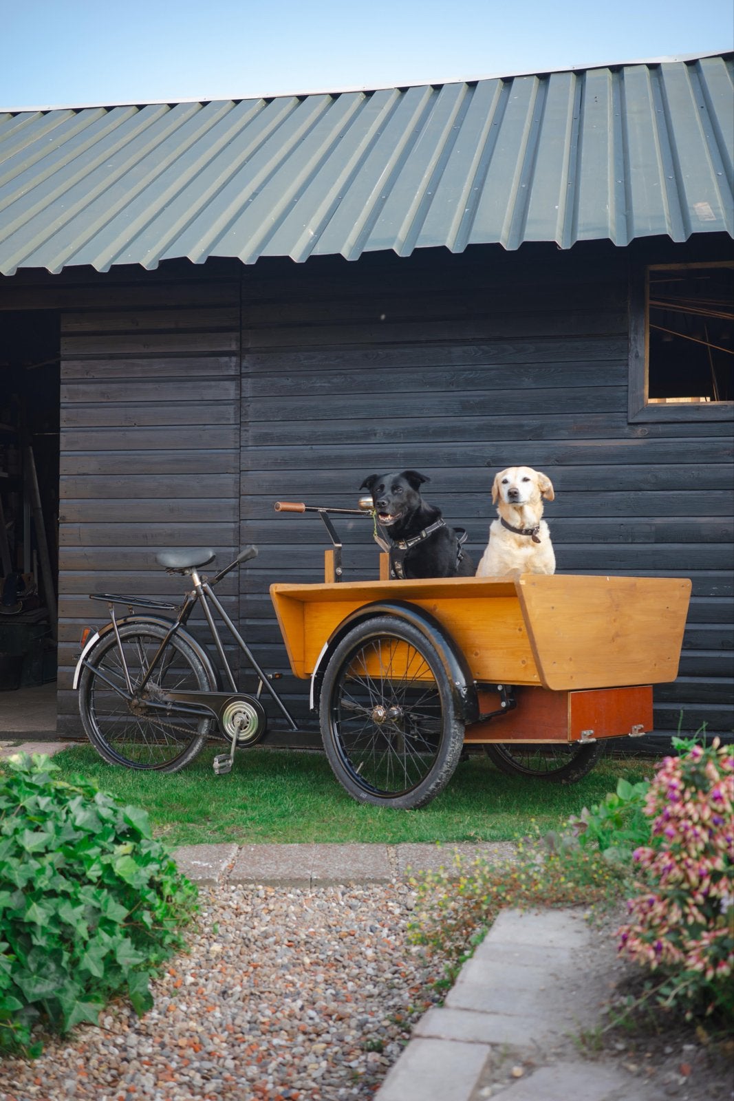 Robuuste apollo bakfiets houten bak - Ideaal voor transport, Overige merken, Terugtraprem, Gebruikt, Goederen
