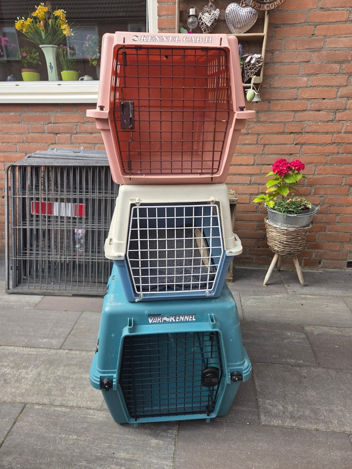 Drie stevige hondenkennels / transportboxen – verschillende, Ophalen of Verzenden