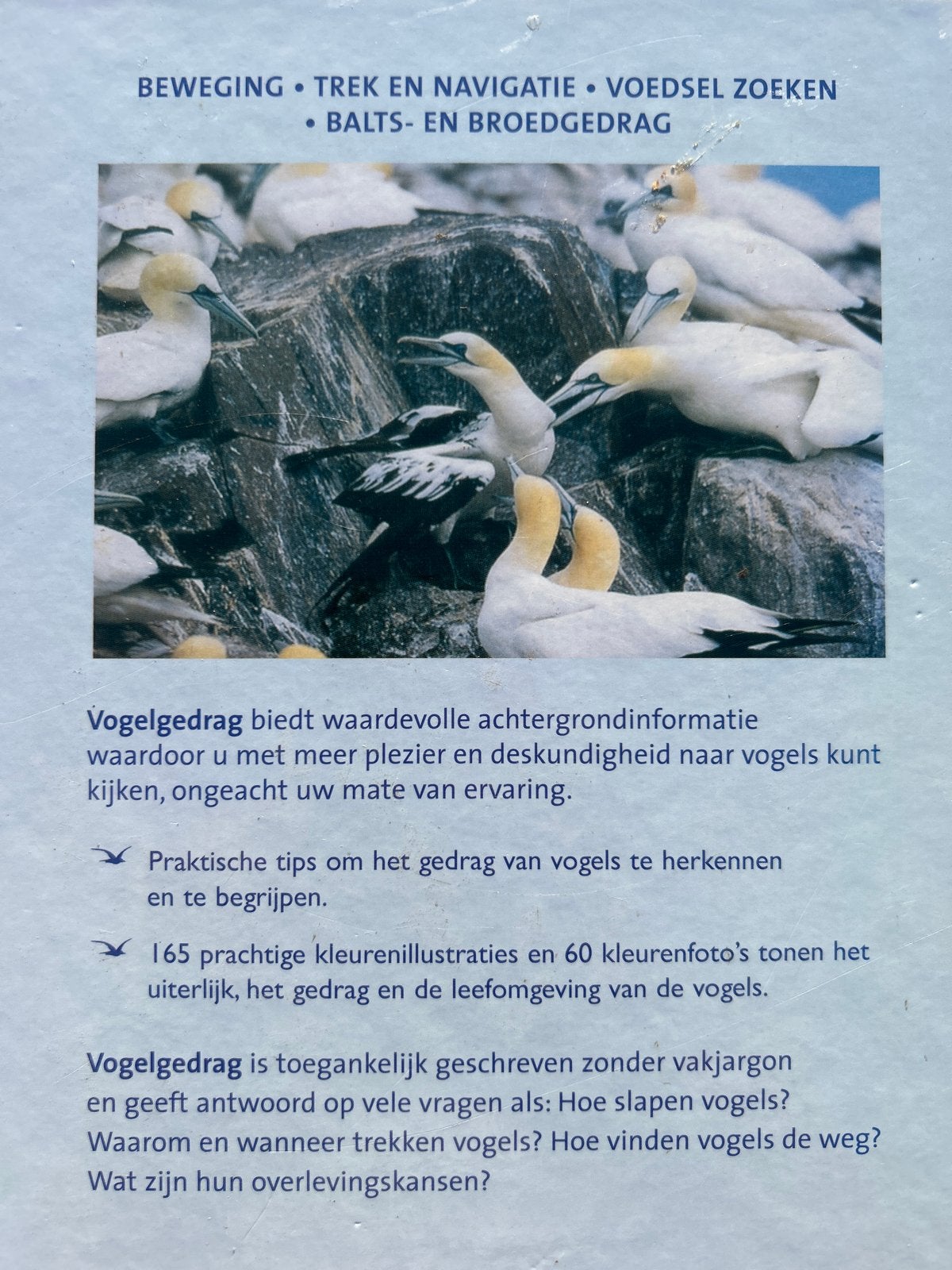 Vogelgedrag - Stephen Moss (Vogelbescherming), Ophalen of Verzenden, Zo goed als nieuw, Vogels