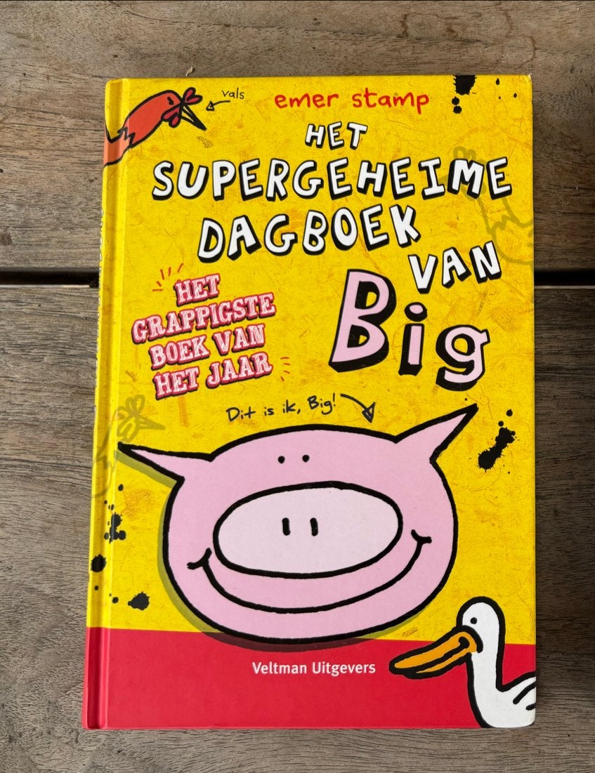 Emer Stamp - Het supergeheime dagboek van big, Boeken, Fictie algemeen, Emer Stamp, Ophalen of Verzenden, Zo goed als nieuw