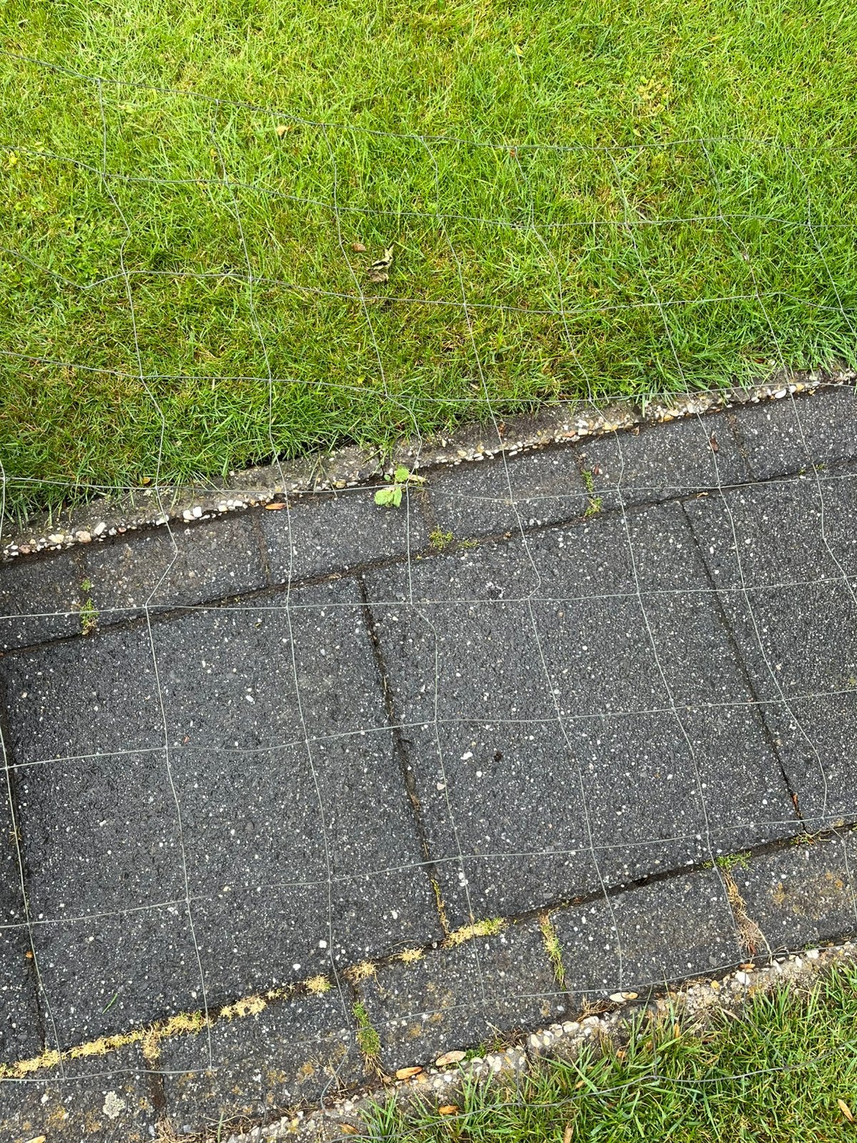 Bloemengaas, Ophalen, Zo goed als nieuw, 20 meter of meer
