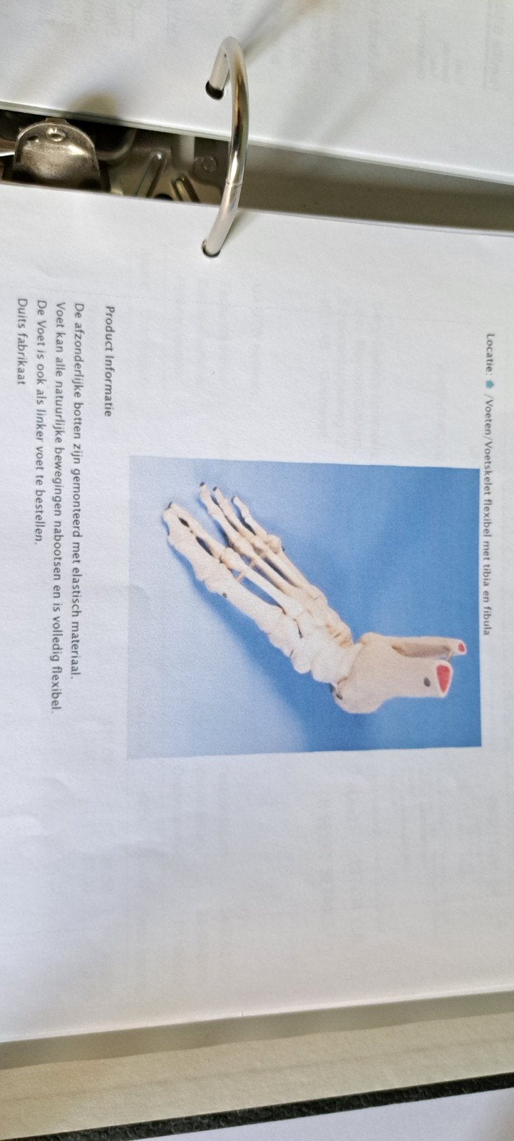 voet skelet pedicure, Ophalen, Zo goed als nieuw