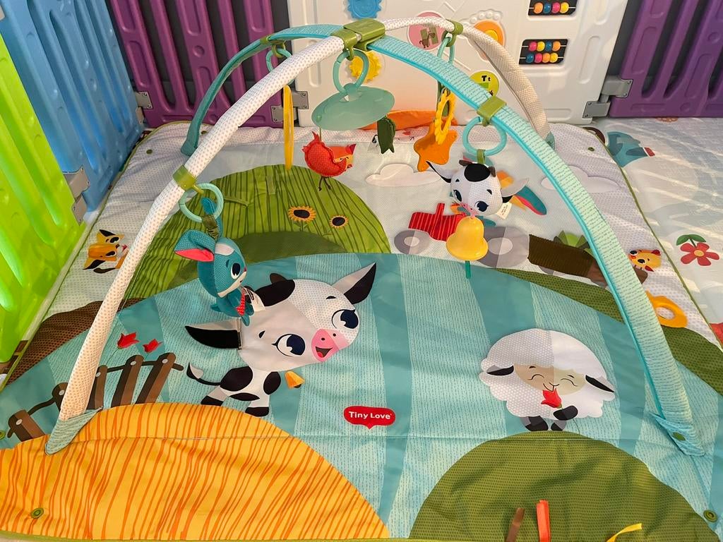 Tiny Love baby speelkleed met boog / activity gym, Ophalen, Zo goed als nieuw, Babygym