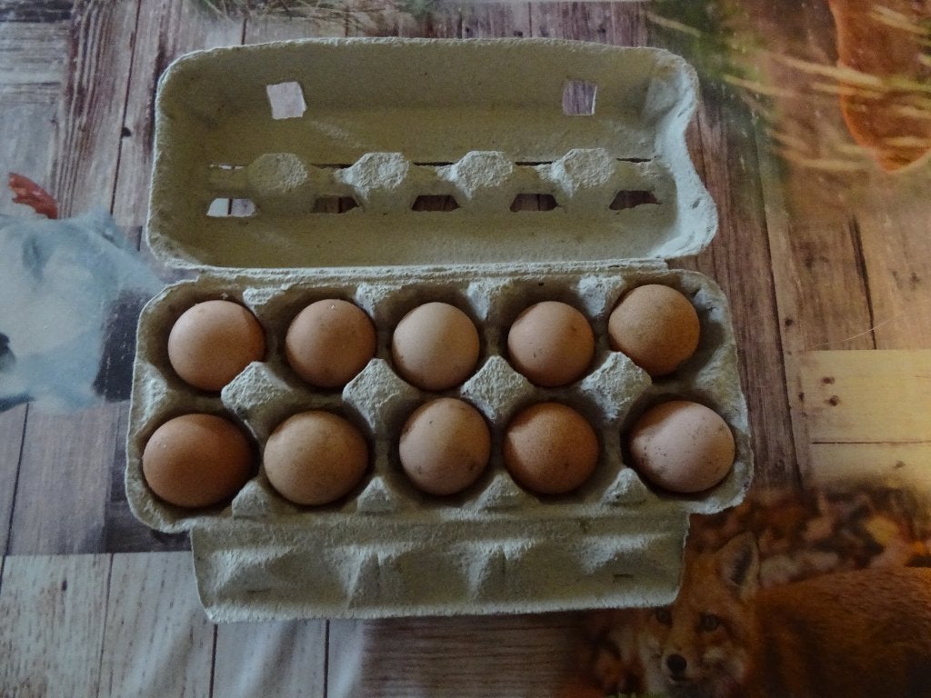 parelhoenders broedeieren eieren broed eieren, Geslacht onbekend, Kip