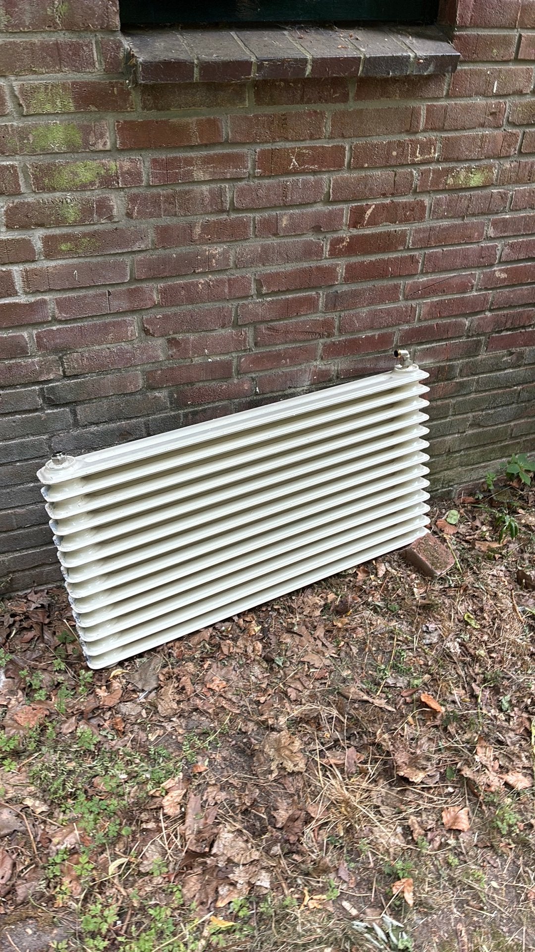 Oudijzer radiator gratis ophalen, Ophalen, Zo goed als nieuw, 250 mm of meer