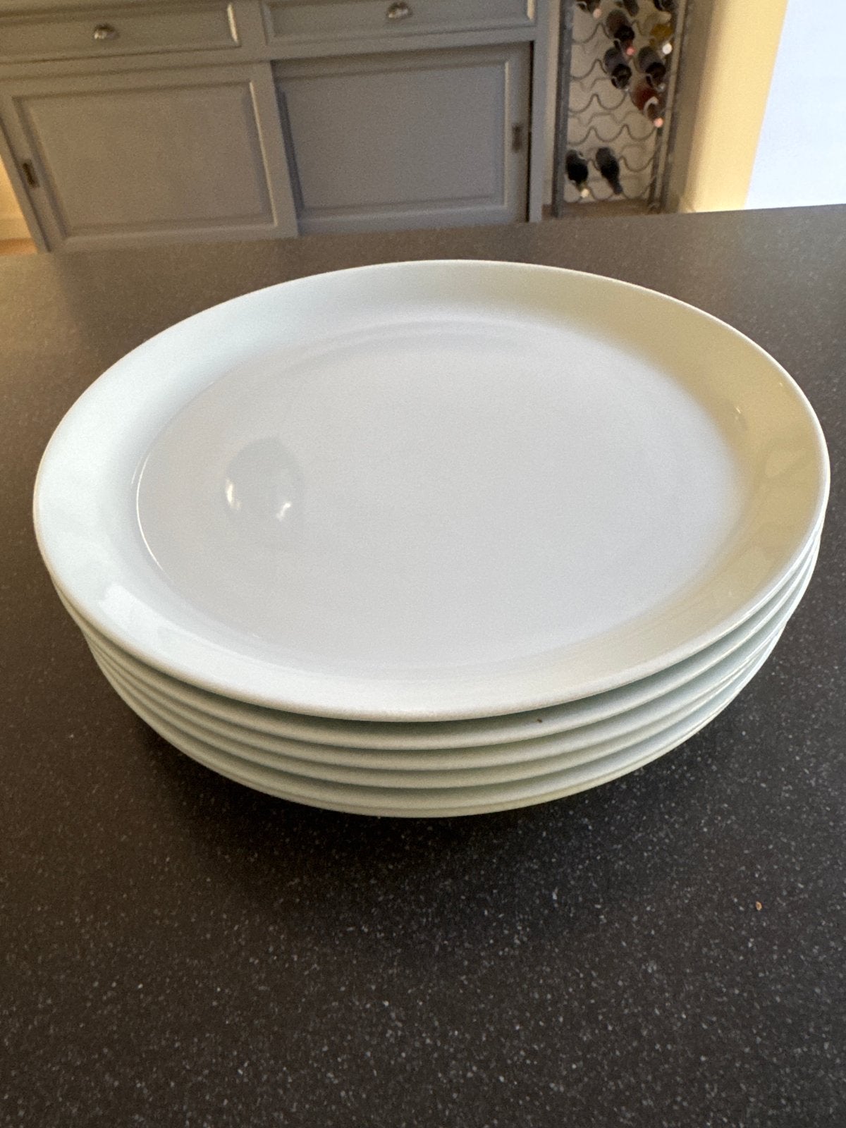 7 grote borden - Vivo Villeroy & Boch Group, Vivo, Ophalen of Verzenden, Zo goed als nieuw, Bord(en)